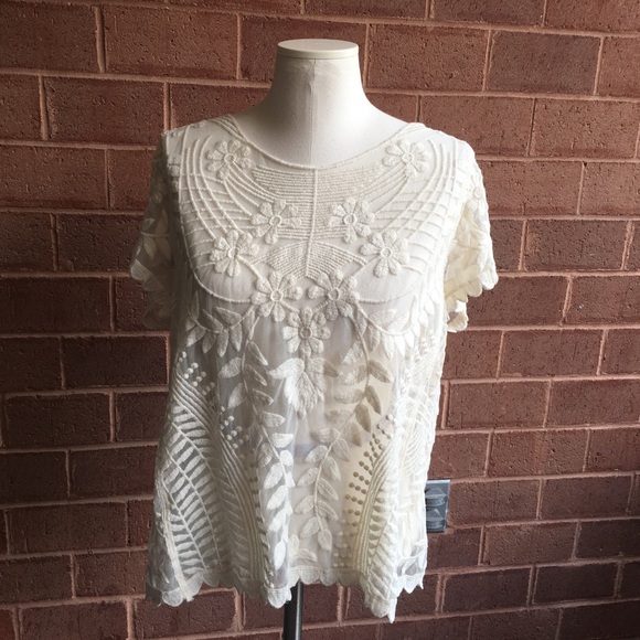 Express Cream Cap Sleeve Sheer Lace Top - Picture 2 of 10